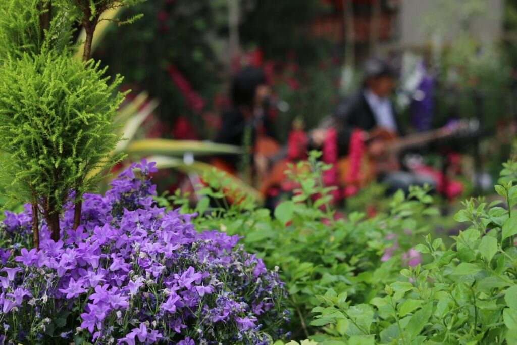 浜名湖フォークトピア