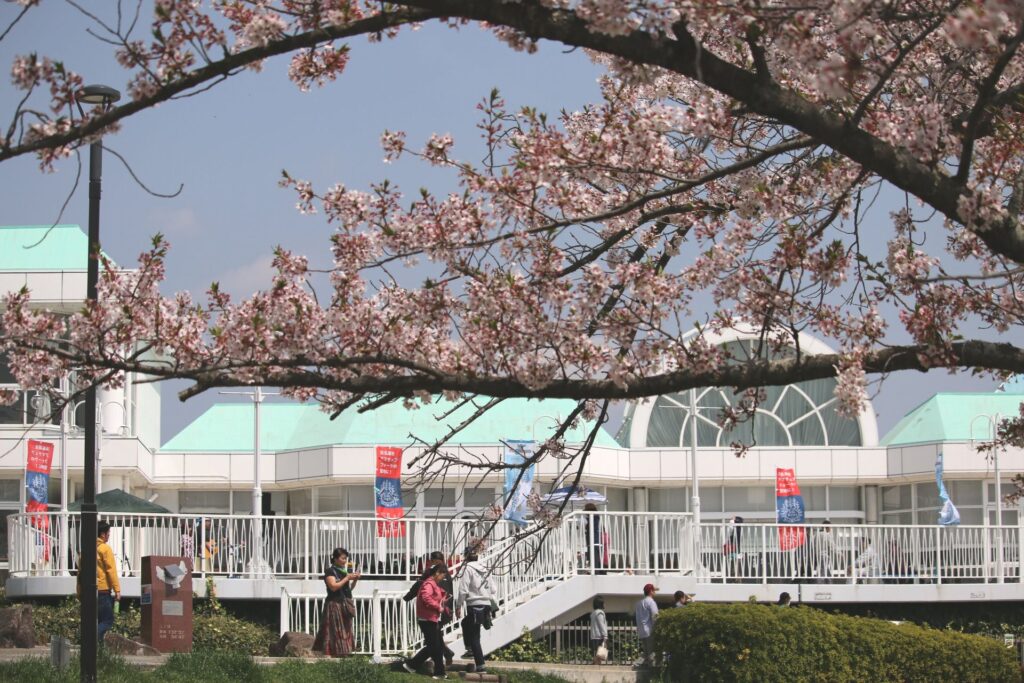 浜名湖フォークトピア